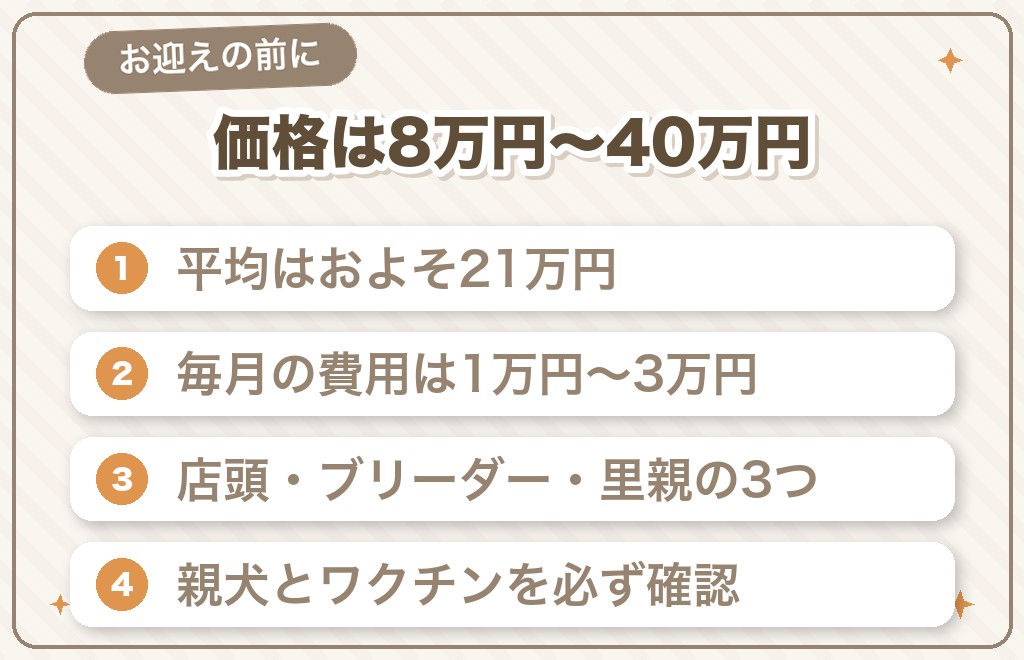スムースチワワの値段相場と迎え方