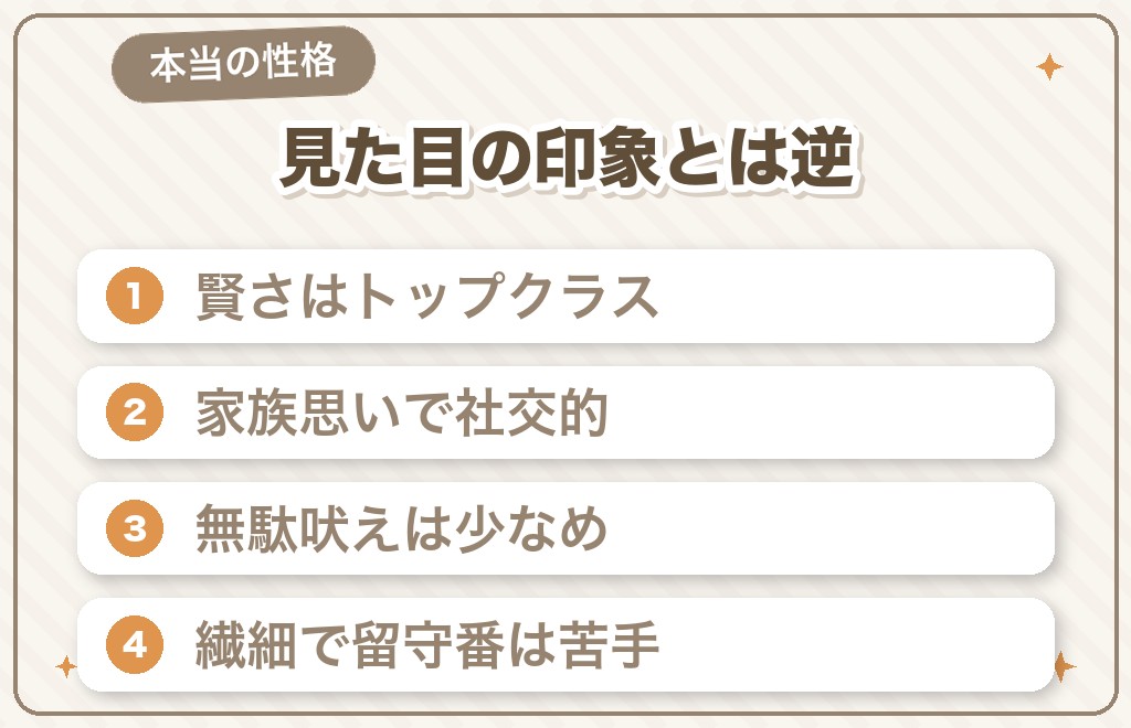 スタンダードプードルの実際の性格は気持ち悪いという印象と正反対