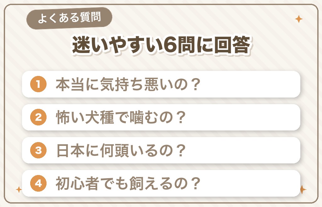スタンダードプードルが気持ち悪いと言われることに関するQ&A
