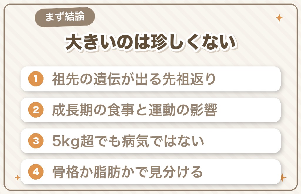 トイプードルが大きいのはなぜ？まず結論