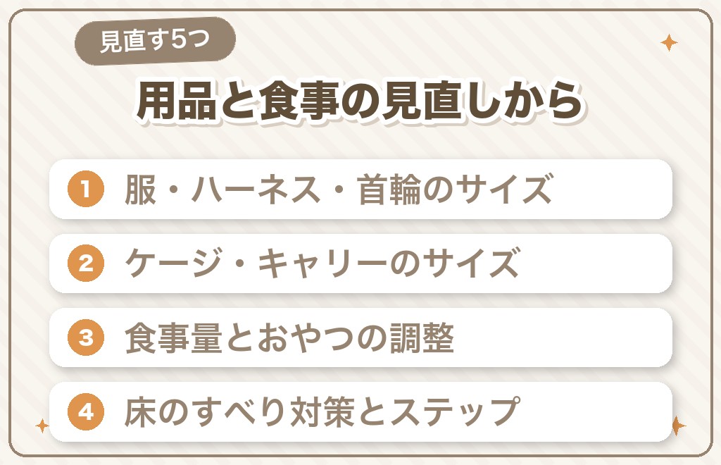大きいトイプードルとの暮らしで見直したい5つのこと