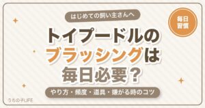 【毎日必要？】トイプードルのブラッシングのやり方・頻度・道具と嫌がる時のコツ