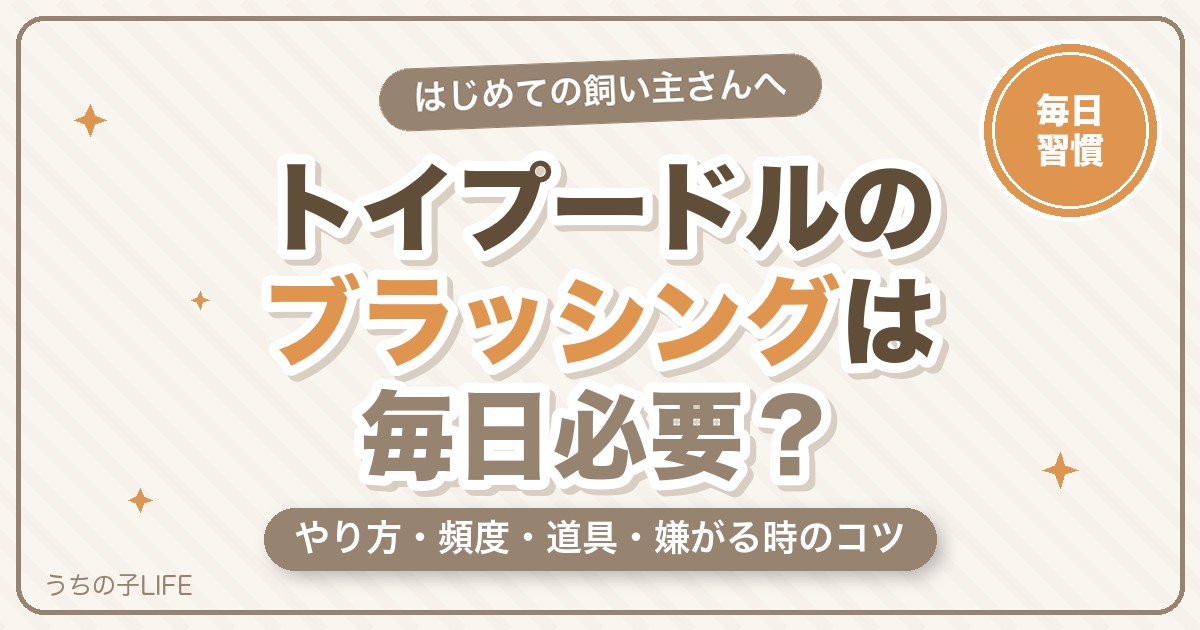 【毎日必要?】トイプードルのブラッシングのやり方・頻度・道具と嫌がる時のコツ