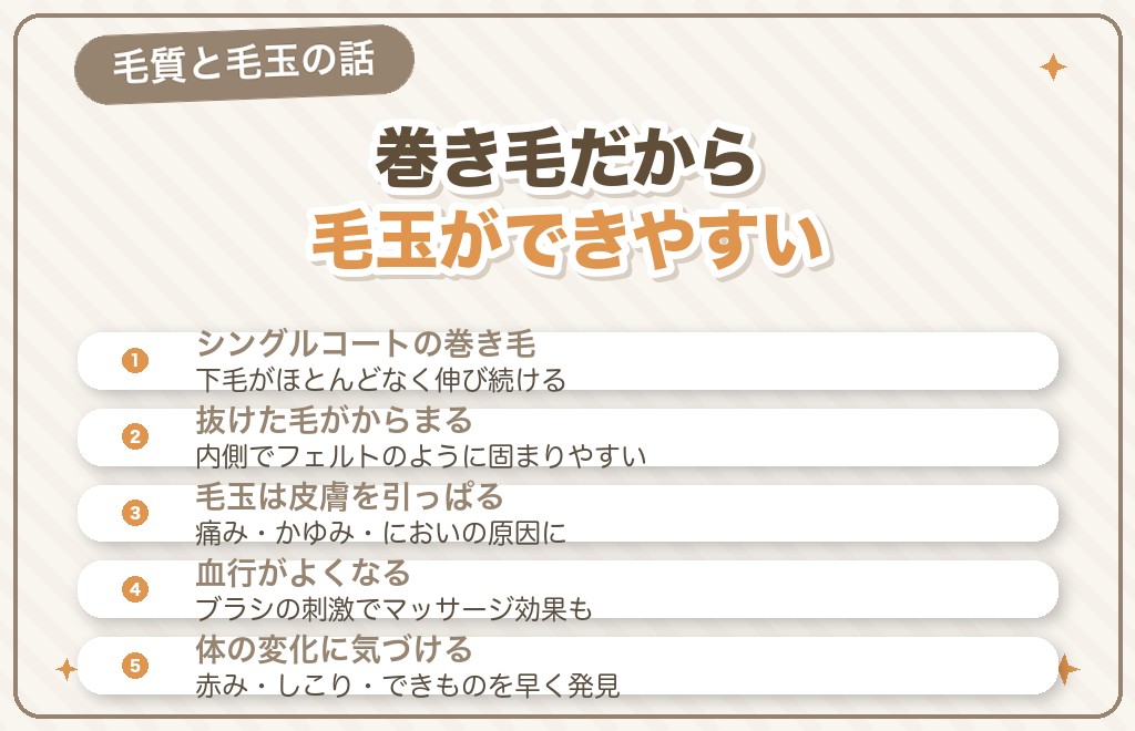 なぜトイプードルにブラッシングが欠かせないの?