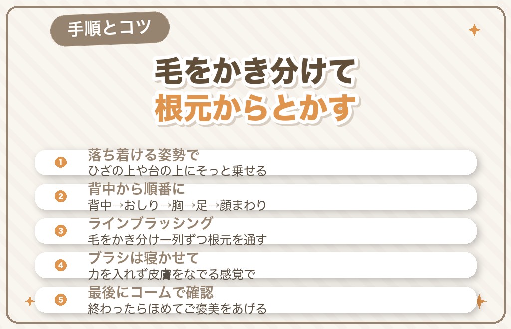トイプードルのブラッシングのやり方【手順とコツ】