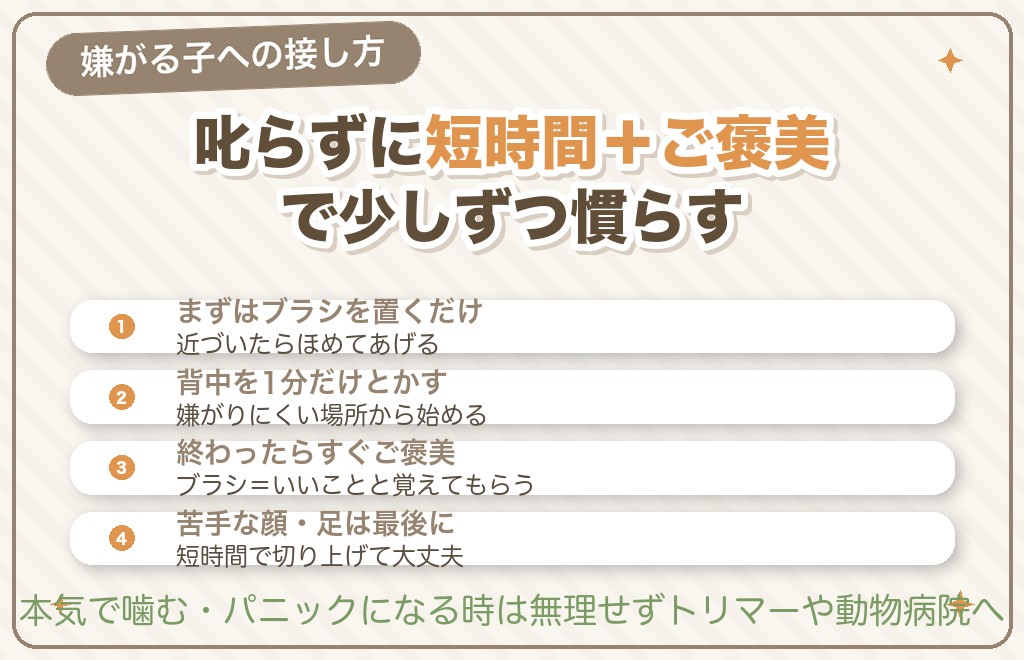 トイプードルがブラッシングを嫌がる時のコツ