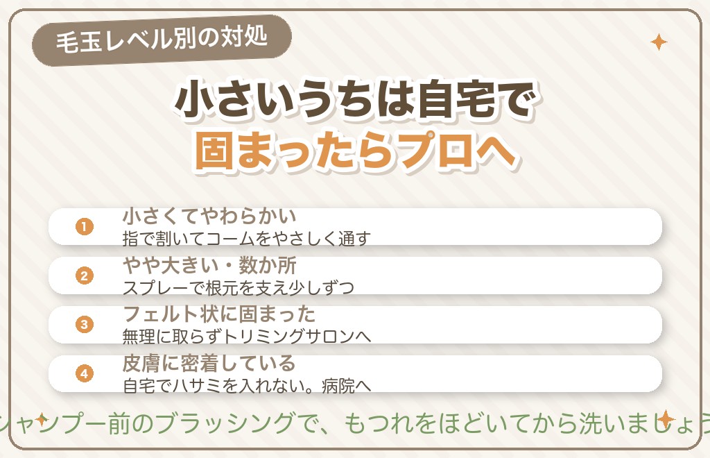 トイプードルの毛玉ができた時の対処法