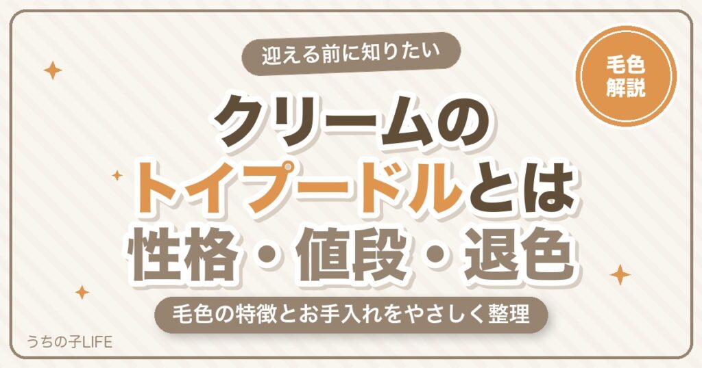 クリームのトイプードルとは？性格・値段の相場・退色をやさしく解説
