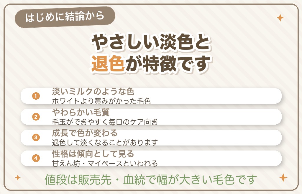 クリームのトイプードルってどんな子?まずは結論から