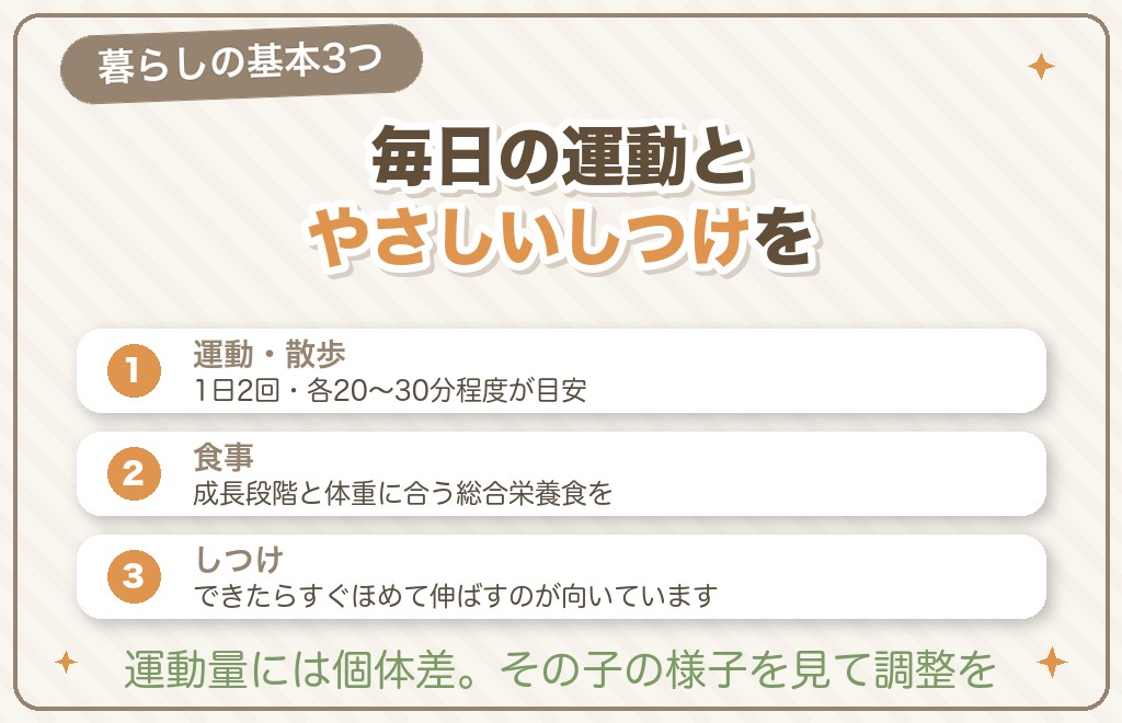 クリームのトイプードルとの暮らし|運動・食事・しつけ