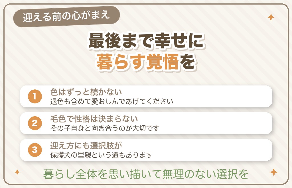 クリームのトイプードルを迎える前に知っておきたいこと