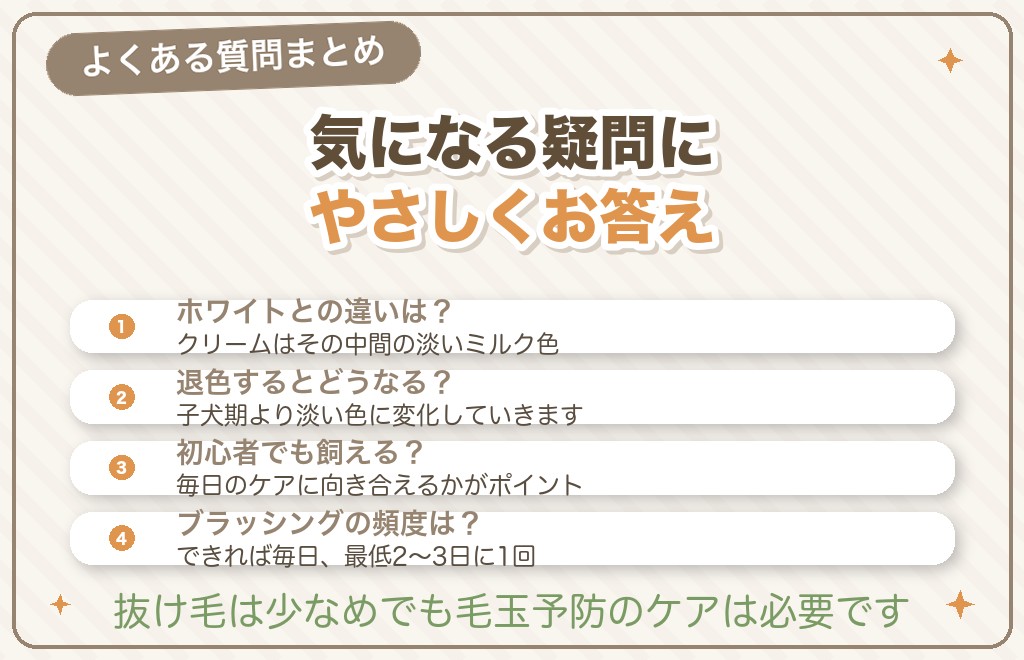 クリームのトイプードルに関するQ&A