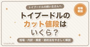 トイプードルのカット値段の相場は？料金の内訳・頻度・節約法を解説