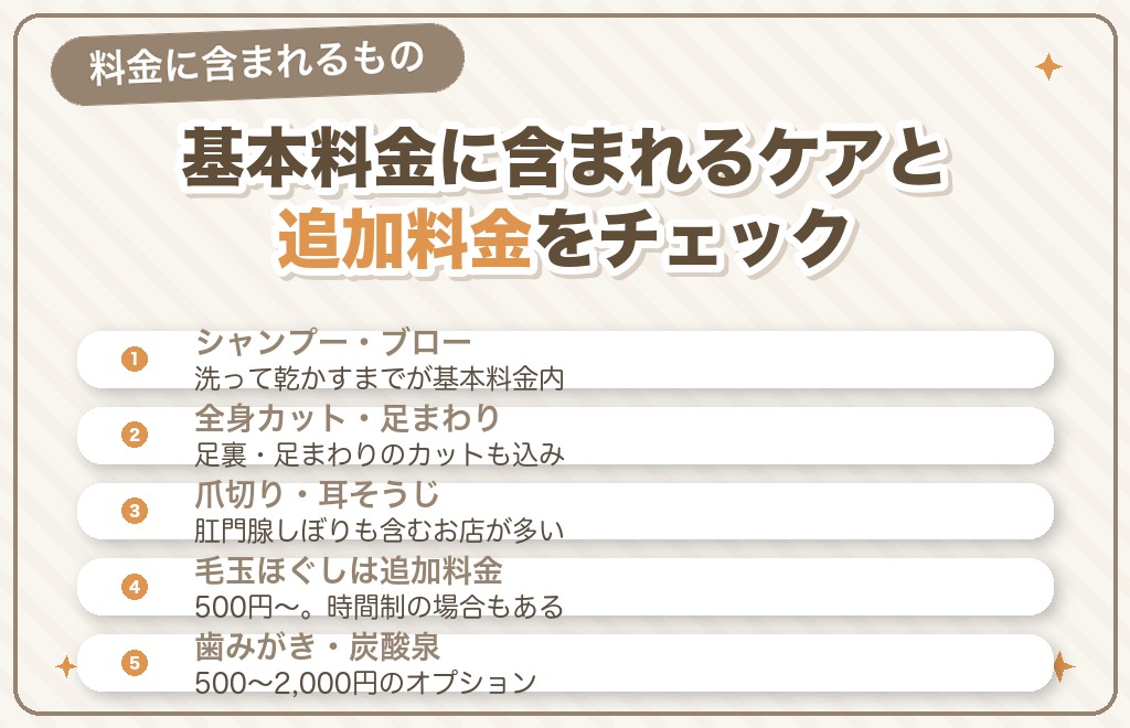 トイプードルのカット料金の内訳｜含まれるものと追加料金