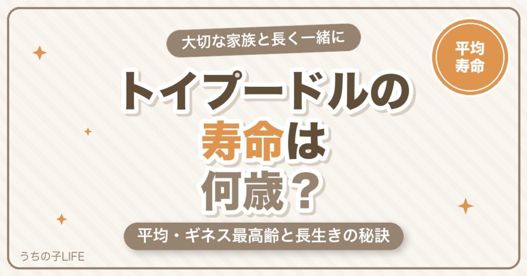 トイプードルの寿命は何歳？平均・ギネス最高齢と長生きの秘訣を解説
