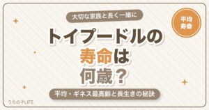 トイプードルの寿命は何歳？平均・ギネス最高齢と長生きの秘訣を解説