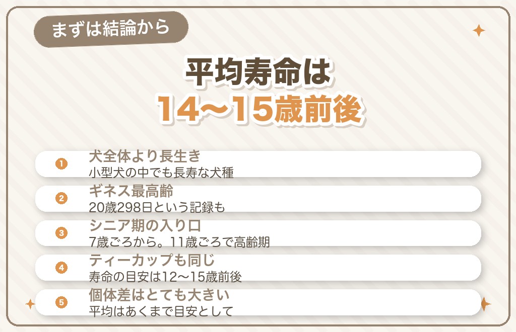 トイプードルの寿命は何歳？まず結論から