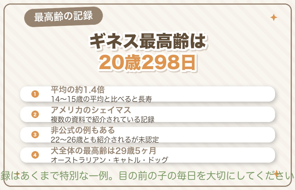 トイプードルの寿命のギネス最高齢は20歳298日