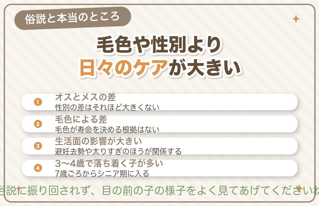 トイプードルの寿命に差が出る要因