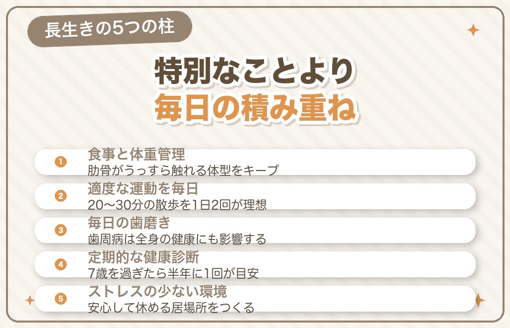 トイプードルの寿命を延ばす長生きの秘訣