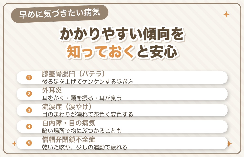 長生きのために知っておきたいトイプードルがかかりやすい病気