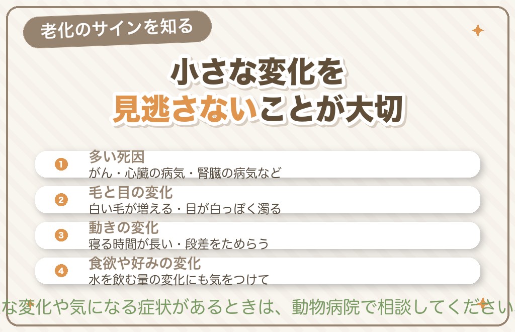 トイプードルの主な死因と老化のサイン