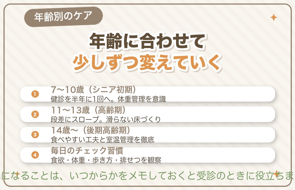 シニア期のトイプードルのケアと年齢別の早見表