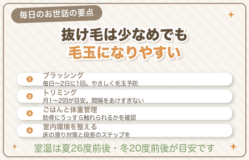 マルプーの飼い方｜カット・お手入れ・しつけの注意点