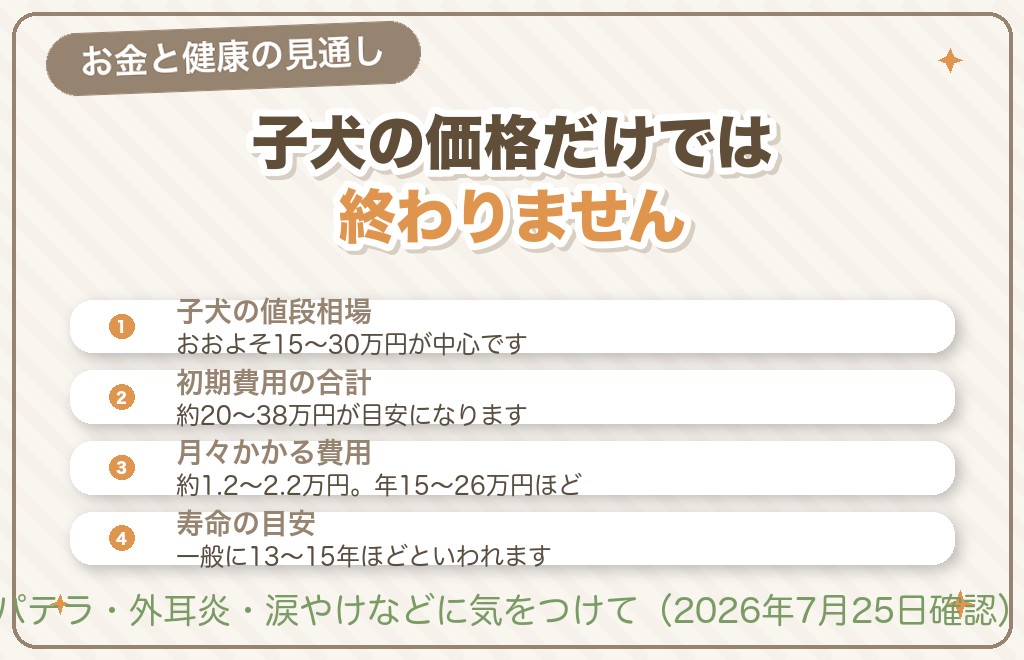 マルプーの値段・寿命・気をつけたい病気