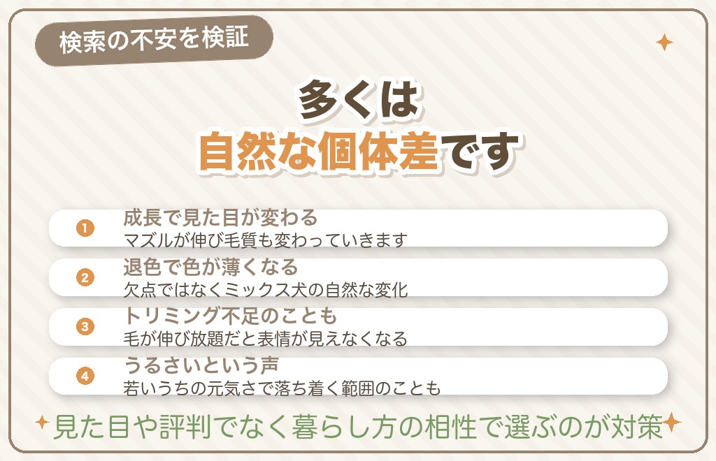「マルプーは可愛くない」と言われる理由の検証