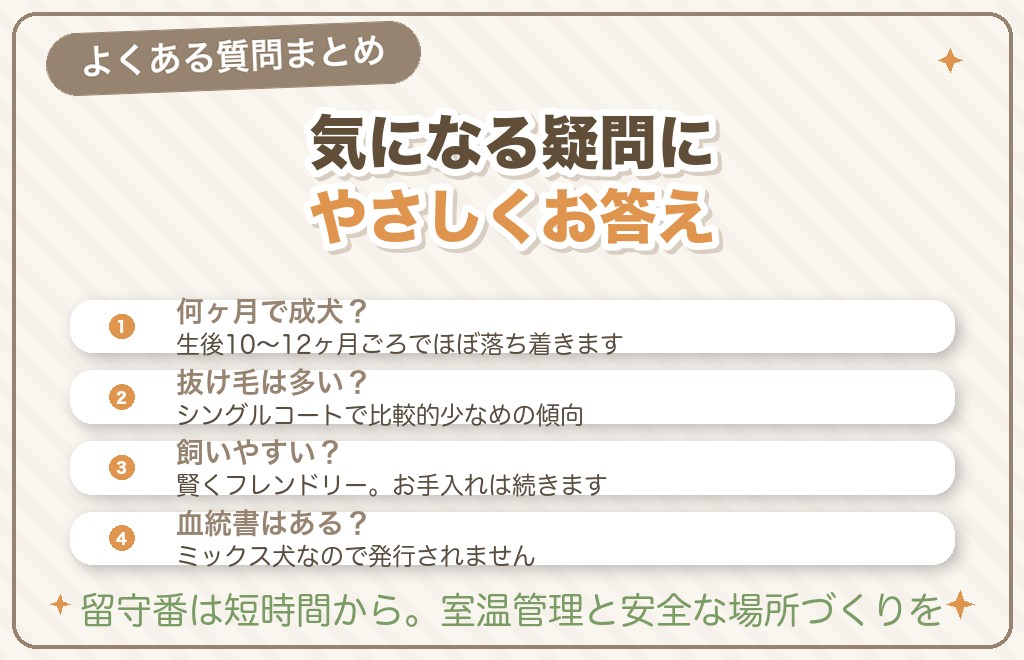 マルプーに関するQ&A