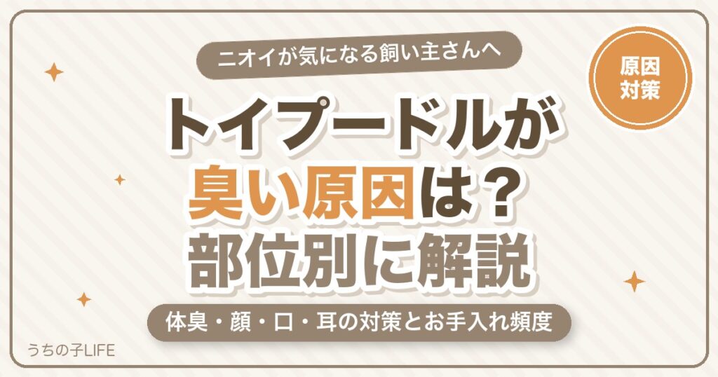 トイプードルが臭い原因は？体臭・顔・口・耳の対策とお手入れ頻度をやさしく解説