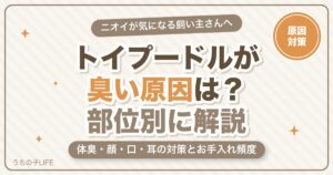 トイプードルが臭い原因は？体臭・顔・口・耳の対策とお手入れ頻度をやさしく解説