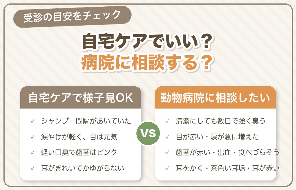 その臭い、病気のサインかも？動物病院に相談する目安