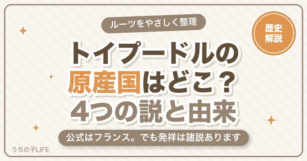 トイプードルの原産国はどこ？4つの説とルーツ・名前の由来を解説