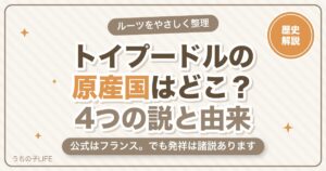 トイプードルの原産国はどこ？4つの説とルーツ・名前の由来を解説