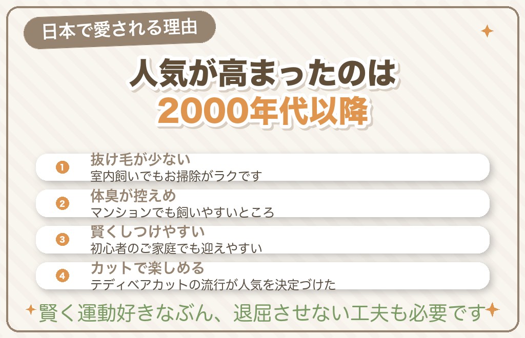 日本での人気と現代のトイプードル