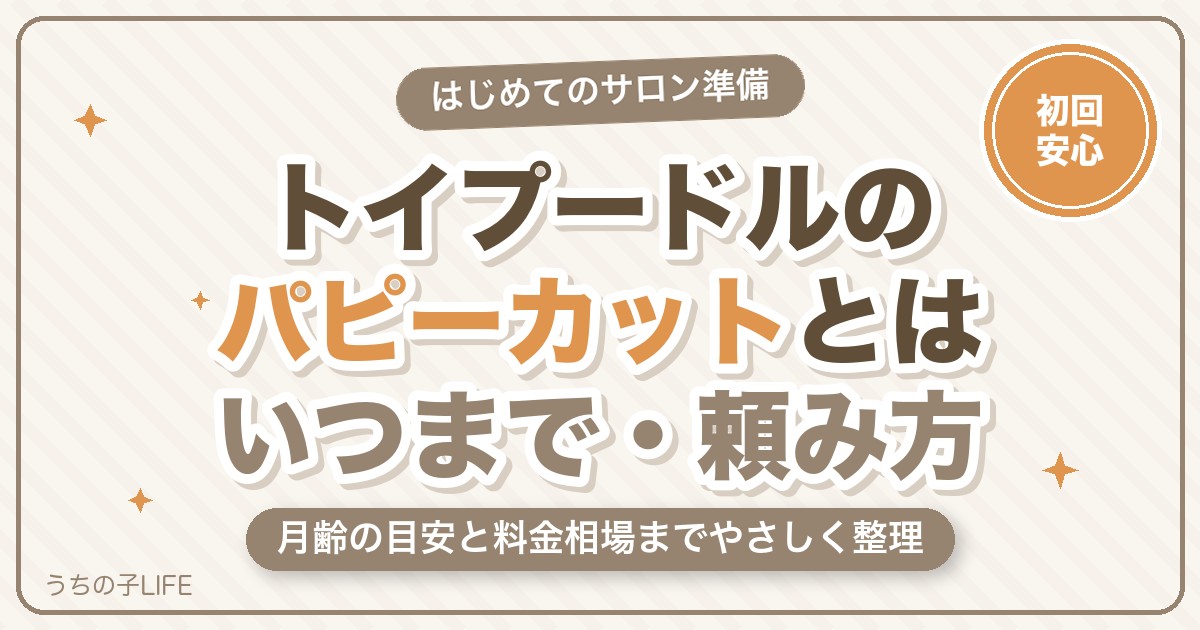 トイプードルのパピーカットとは？いつまで・頼み方・料金相場をやさしく解説