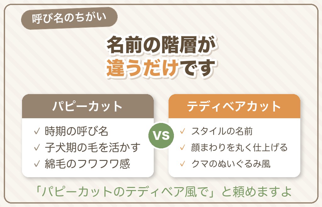 パピーカットが「子犬の今しかできない」といわれる理由