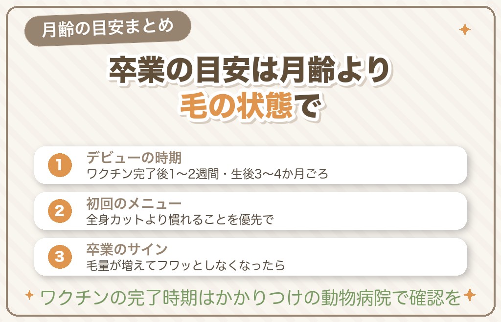 パピーカットはいつからいつまで？月齢の目安