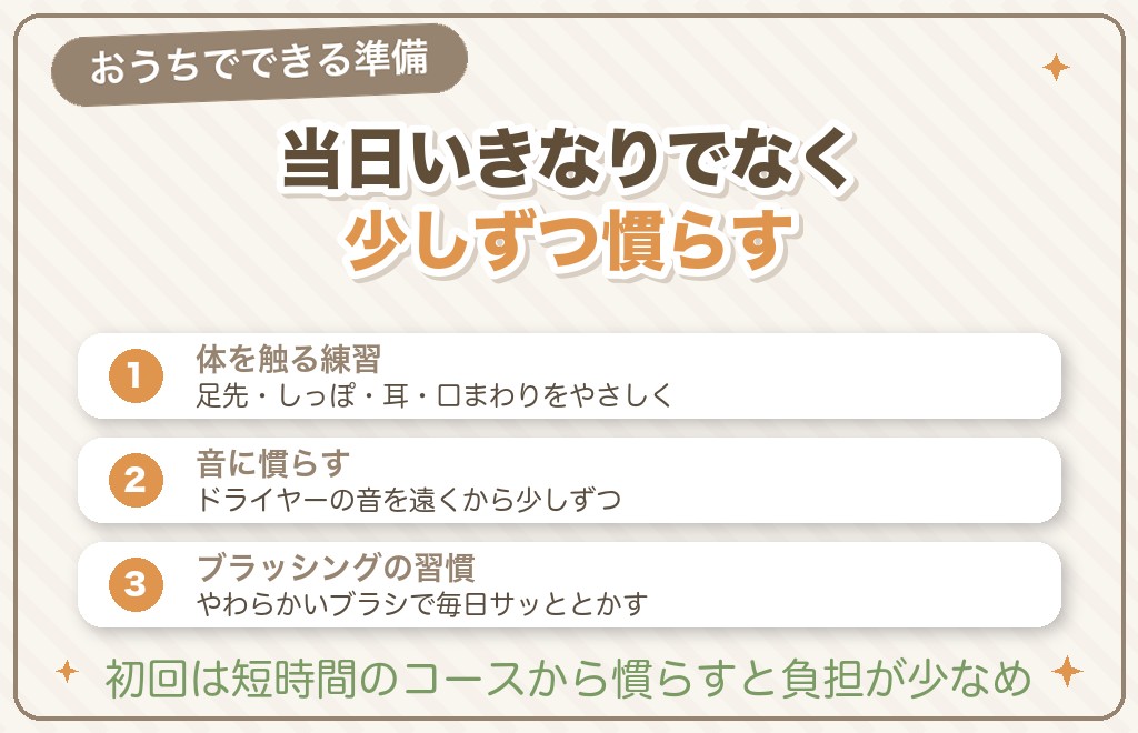 パピーカットの前に家でできる3つの準備