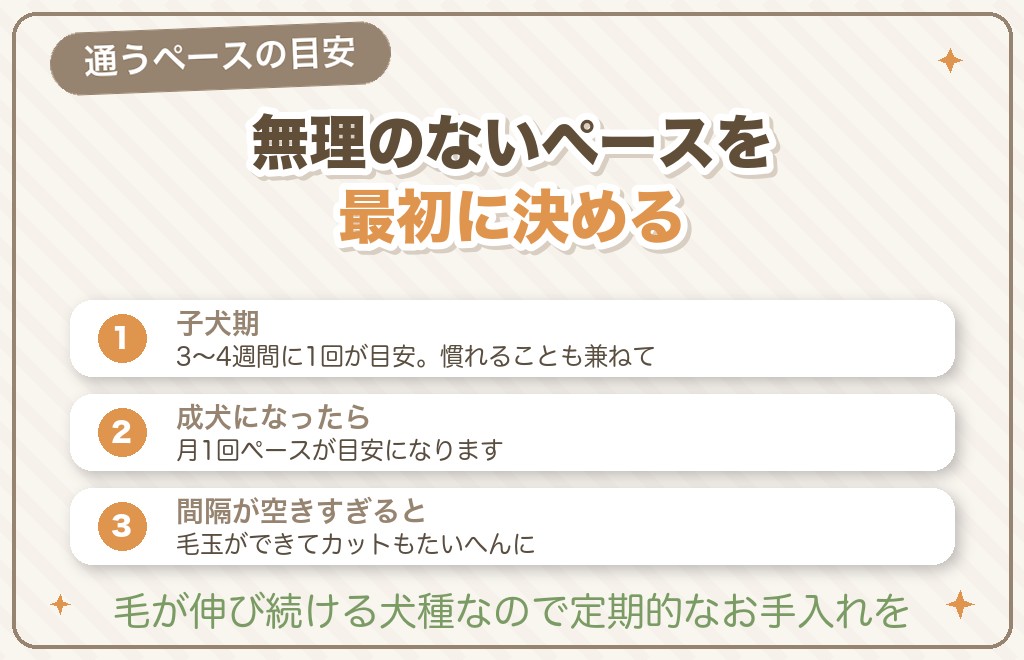 パピーカット期のトリミング頻度はどのくらいがいい？