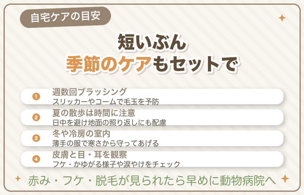 パピーカット中のお手入れと注意点