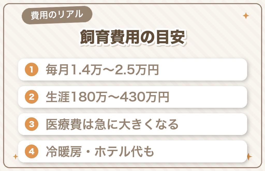 トイプードルの飼育費用のリアル（月々・生涯の内訳）