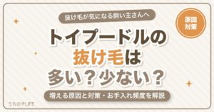 トイプードルの抜け毛は多い？少ない？増える原因と対策・お手入れ頻度を解説