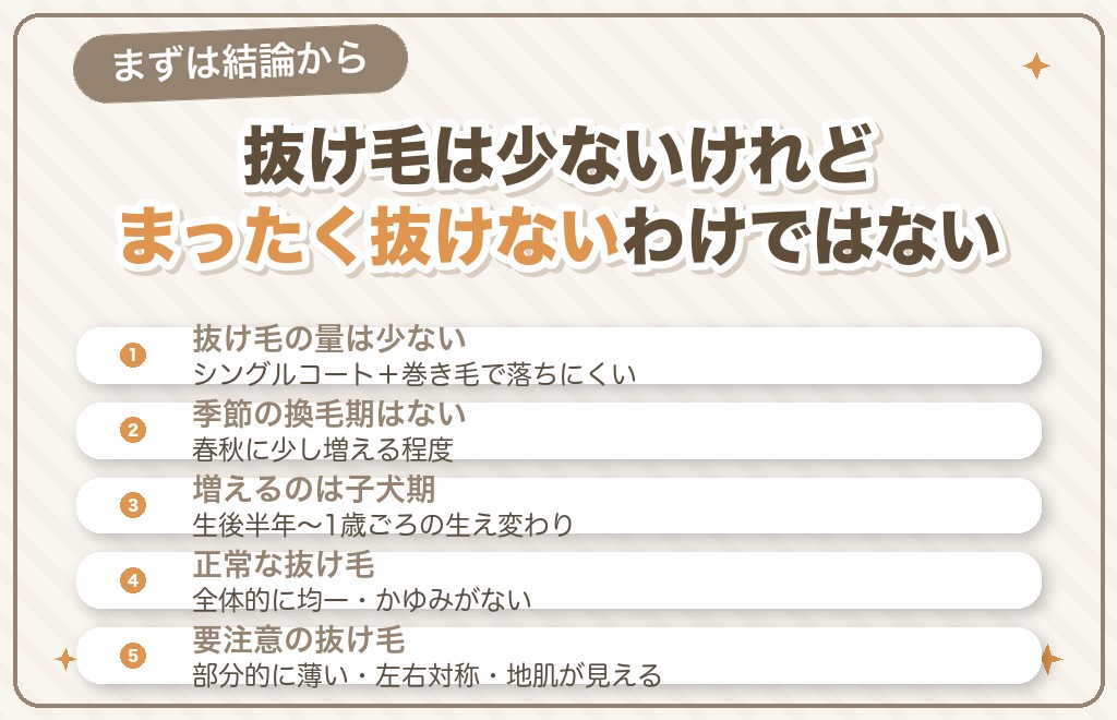 トイプードルの抜け毛は多い？少ない？まず結論から