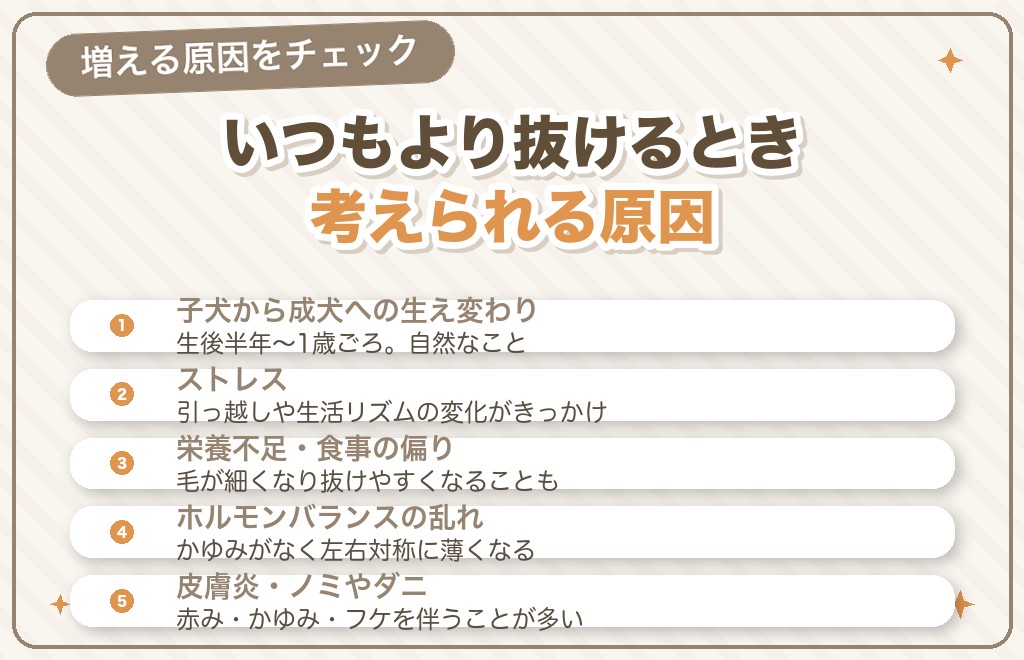 トイプードルの抜け毛が増える原因