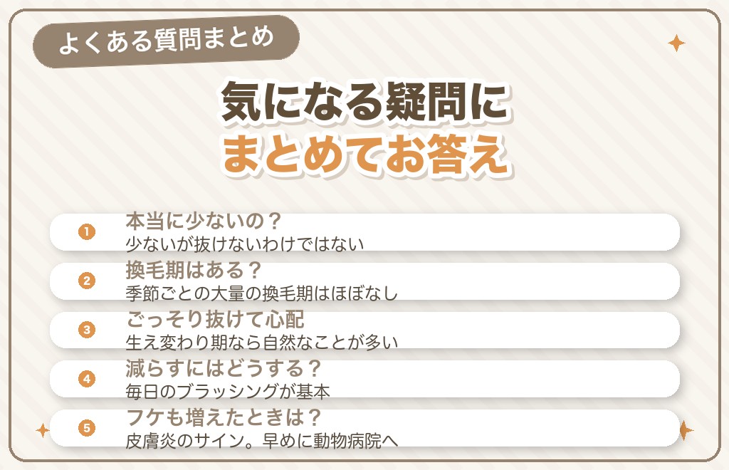 トイプードルの抜け毛に関するQ&A