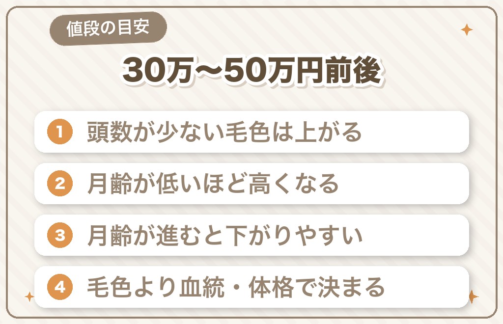 トイプードルのシルバーの値段相場