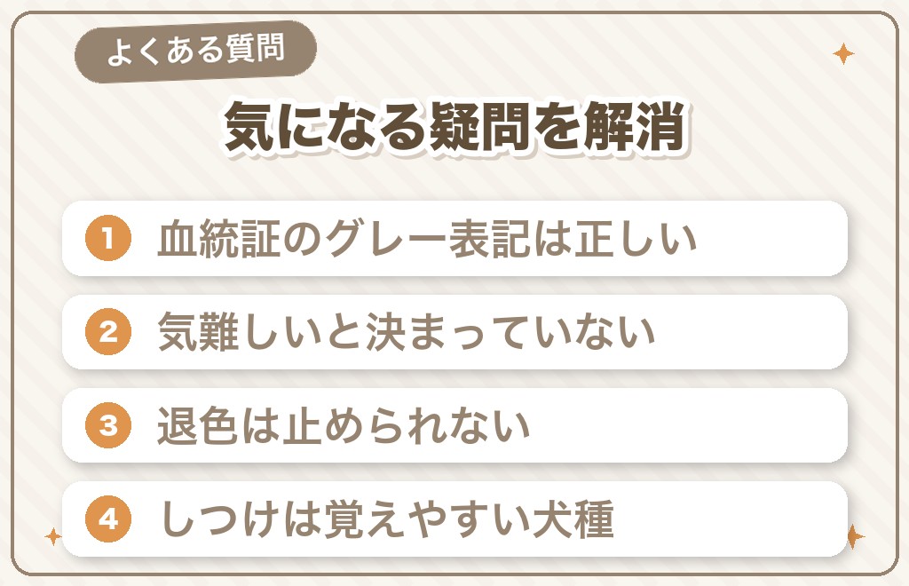 トイプードルのシルバーに関するQ&A